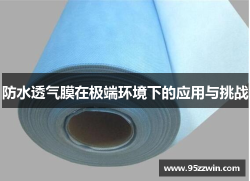 防水透气膜在极端环境下的应用与挑战